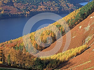 Autumn Colours by Thirlmere