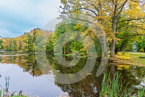 Autumn colors tree reflections in the park pond