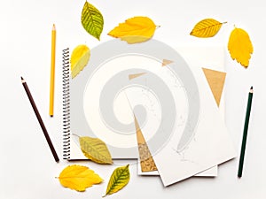 Autumn composition with album and pencils, decorated with yellow and green leaves. Flat lay, top view