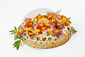 Autumn composition from assorted marigold flowers, isolated on a white background