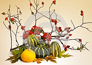 Autumn composition. The composition consists of a pair of pumpkins, viburnum, branches and wild rose