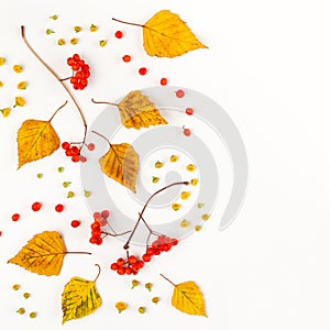 Autumn composition with autumn dried leaves, berries and flowers on white background. Flat lay, copy space