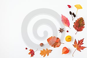 Autumn composition. Dried leaves, flowers, berries, cones isolated on white background. Flat lay, top view