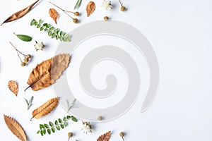 Autumn composition. Dried leaves, flowers, berries on white background. Autumn, fall, thanksgiving day concept.