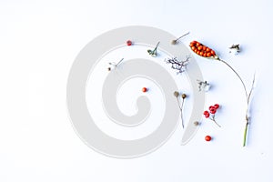 Autumn composition. Dried leaves, flowers, berries on white background. Autumn, fall, thanksgiving day concept.