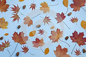 Autumn composition. Dried leaves on pastel blue background. Autumn, fall, winter concept