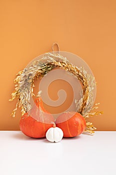 Autumn composition. Dried leaves wreath, pumpkins, on white orange background. Autumn fall and thanksgiving day concept