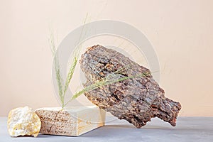 Autumn composition: ears of oats, tree bark, wood podium, stone on a light background.