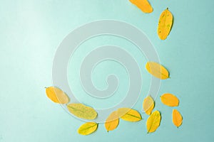 Autumn composition.Fall colorful leaves framed on blue paper background