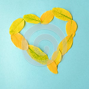Autumn composition. Fall colorful yellow leaves of heart frame on blue paper background