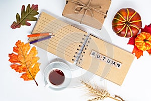 Autumn composition of fallen leaves, pumpkins and a notepad. space for text. the word AUTUMN is composed of wooden cubes. View