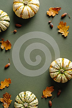 Autumn composition. Flat lay pumpkins, dry oak leaves, acorns on vintage green background. Thanksgiving day vertical banner design