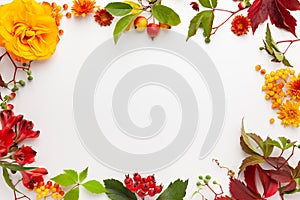 Autumn composition with flowers, leaves and berries on white background. Flat lay, copy space