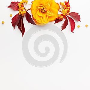 Autumn composition with flowers, leaves and berries on white background. Flat lay, copy space