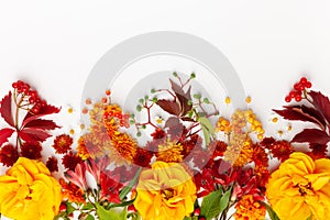 Autumn composition with flowers, leaves and berries on white background. Flat lay, copy space