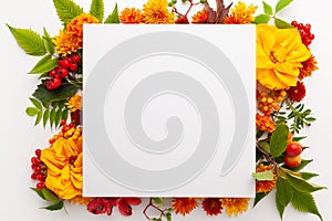 Autumn composition with flowers, leaves and berries on white background. Flat lay, copy space