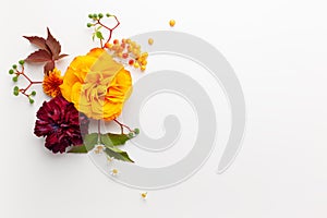 Autumn composition with flowers, leaves and berries on white background. Flat lay, copy space