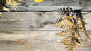 Autumn composition. Frame of autumn dry leaves on a wood background. Place to copy