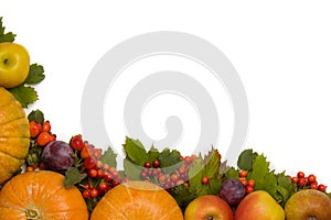 Autumn composition. Frame border from pumpkin, fallen leaves, apples, red berries on a white background. Flat lay, top