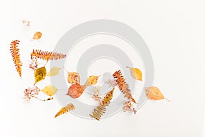 Autumn composition.Frame made of autumn dry multi-colored leaves and flowers on white background. Autumn, fall concept