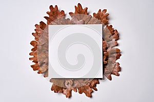 Autumn composition. Frame made of blank paper, autumn dried oak leaves on white background. Fall concept. Autumn thanksgiving.