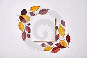 Autumn composition. Frame made of blank paper and leaves on white background. Fall concept. Autumn thanksgiving texture. Flat lay