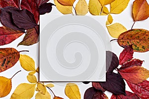 Autumn composition. Frame made of blank paper and leaves on white background. Fall concept. Autumn thanksgiving texture. Flat lay