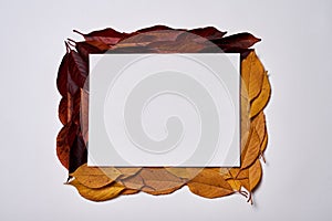 Autumn composition. Frame made of blank paper, yellow and red leaves on white background. Fall concept. Autumn thanksgiving.