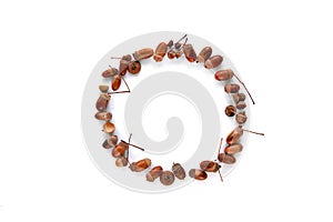 Autumn composition. Frame made of brown dried leaves and acorns isolated on white background. Template mockup fall, halloween,