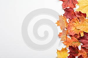 Autumn composition. Frame made of colorful maple leaves on white beige background. Flat lay, top view, copy space. Autumn fall,