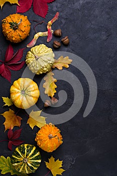 Autumn composition. Frame made of different multicolor dried leaves and pumpkin on dark background. Autumn, fall concept. Flat lay