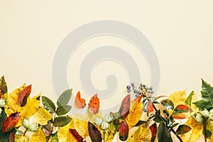 Autumn composition. Frame made of fall autumn leaves on pastel beige background. Flat lay, top view