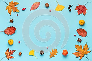 Autumn composition. Frame made of fall leaves, flowers, berries, nuts on blue background. Flat lay with copy space
