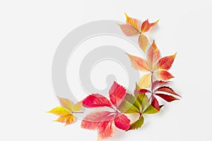 Autumn composition. frame made of fall red, orange, golden leaves on white background. flat lay, copy space