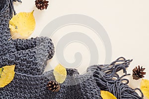 Autumn composition. Frame made of knitted plaid or scarf, fallen leaves, cones on pastel beige background. Autumn, fall concept.