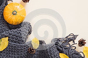Autumn composition. Frame made of knitted plaid or scarf, pumpkin, fallen leaves, cones on pastel beige background. Autumn, fall,