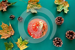 Autumn composition. Frame made of Pumpkins,dried leaves and pine cones background. Template autumn, fall, halloween, harvest