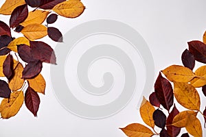 Autumn composition. Frame made of red and yellow leaves on white background. Fall concept. Autumn thanksgiving texture. Flat lay.