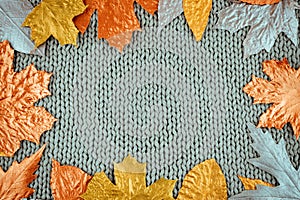 Autumn composition with golden leaves frame on knitted gray background. Fall mockup with gold maple leaves. Flat lay, top view,