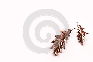 Autumn composition. Golden oak leaves on white background. Autumn, fall concept. Flat lay, top view,