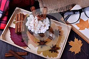 Autumn composition with hot chocolate, cinnamon, plaid, glasses, book and fallen leaves