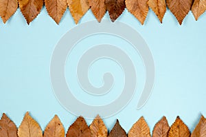 Autumn composition  backdrop on white .