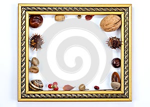 Autumn composition  indoor  on white background .