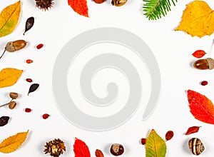 Autumn composition  indoor  on white background.