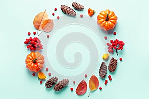 Autumn frame with leaves, rowan berries, orange pumpkins, pine cones on pastel background, flat lay. Fall, thanksgiving concept.