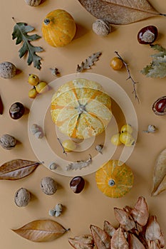 Autumn composition made of pumpkins, dried leaves, chestnuts and acorns