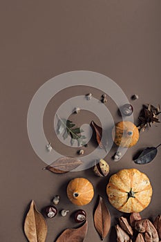 Autumn composition made of pumpkins, dried leaves, chestnuts on brown background