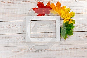 Autumn composition. Multi-colored maple leaves: red, green and yellow around white frame on wooden background. Autumn, fall,