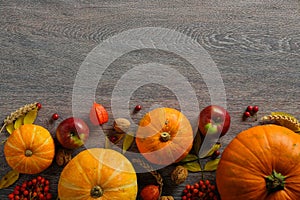 Autumn composition. Orange pumpkins, autumnal fruits and nuts on dark wooden table. Harvest or Thanksgiving background. Flat lay,