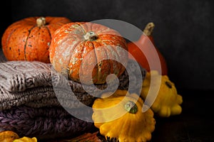 Autumn composition - orange pumpkins, warm scarf, fallen leaves on black background, copy space. Seasonal autumn concept